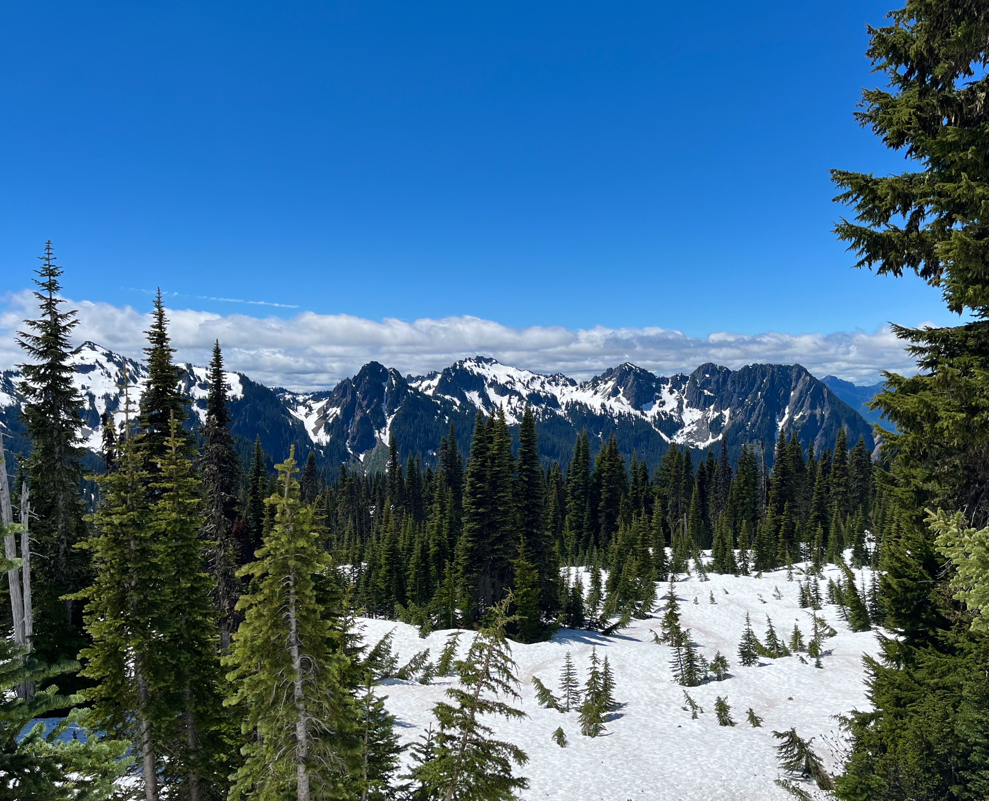 Mount Rainier National Park, Washington