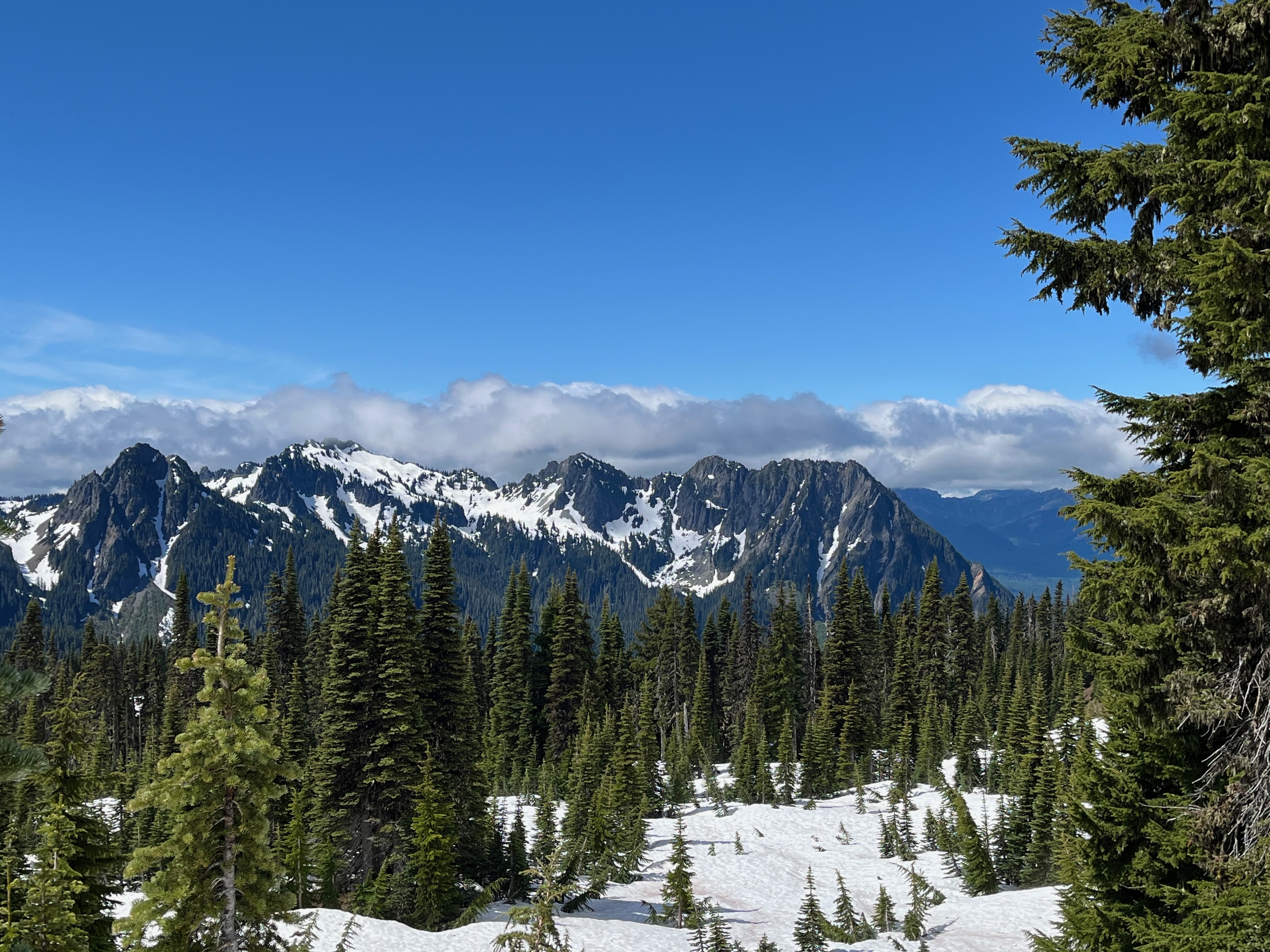 Mount Rainier National Park, Washington
