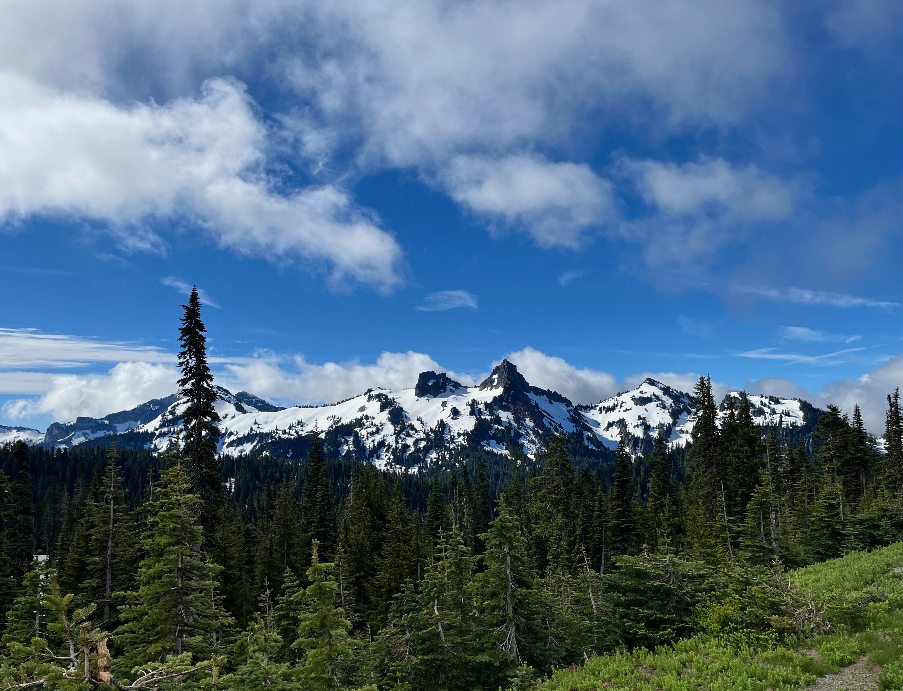 Mount Rainier National Park, Washington