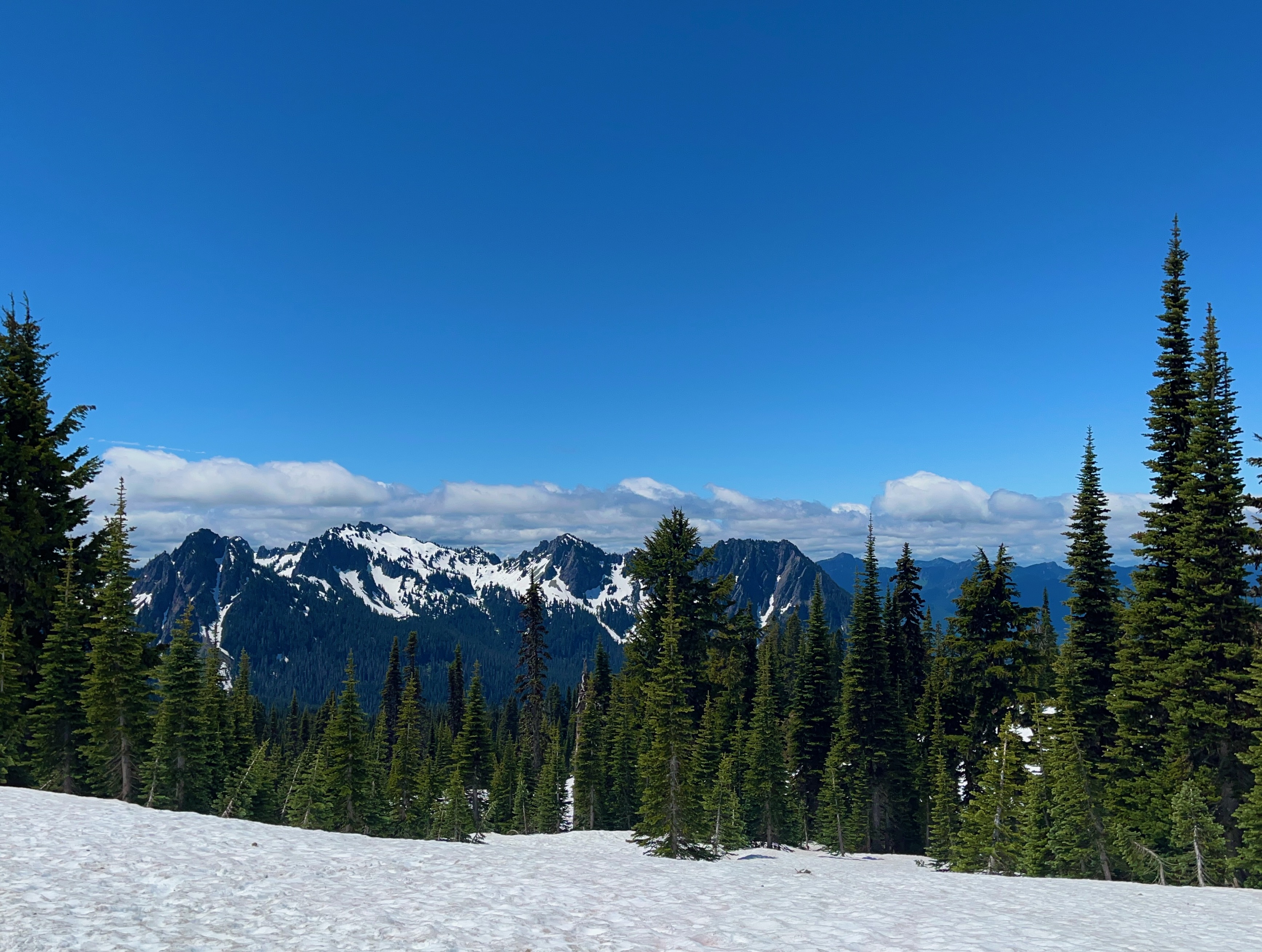 Mount Rainier National Park, Washington